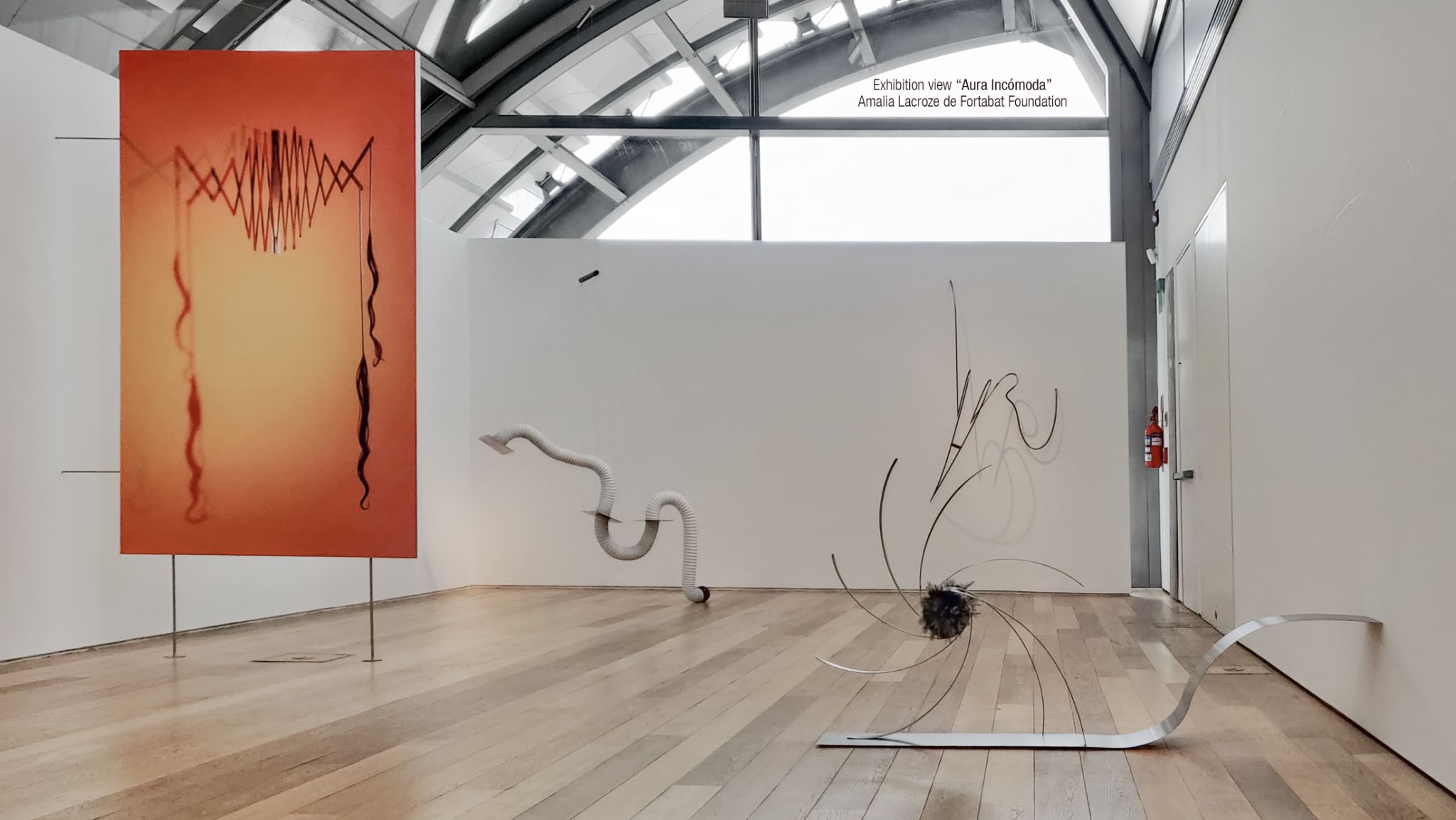 2025 DM port.para web. P18